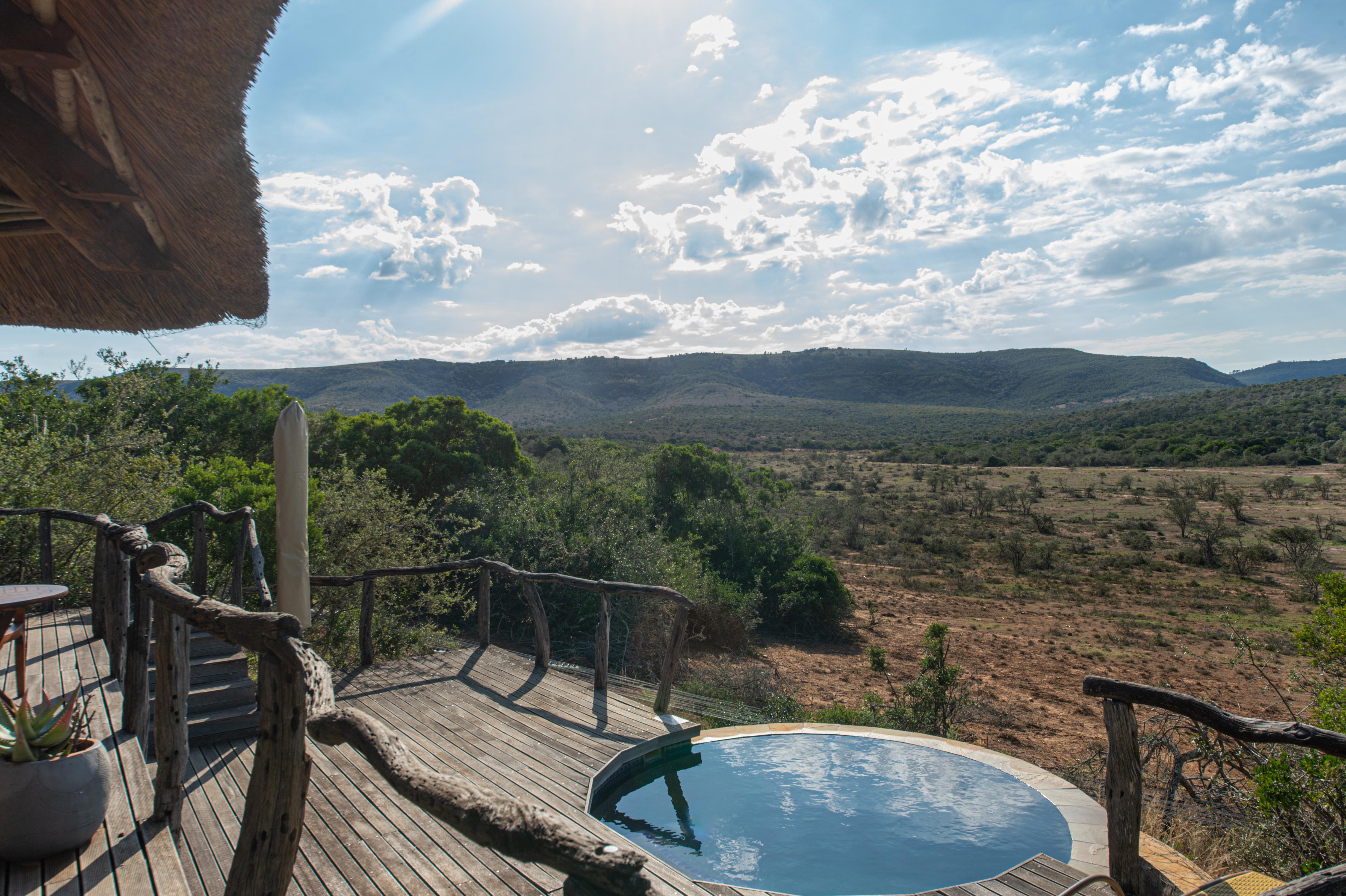 Pumba Private Game Reserve Port Elizabeth Bagian luar foto