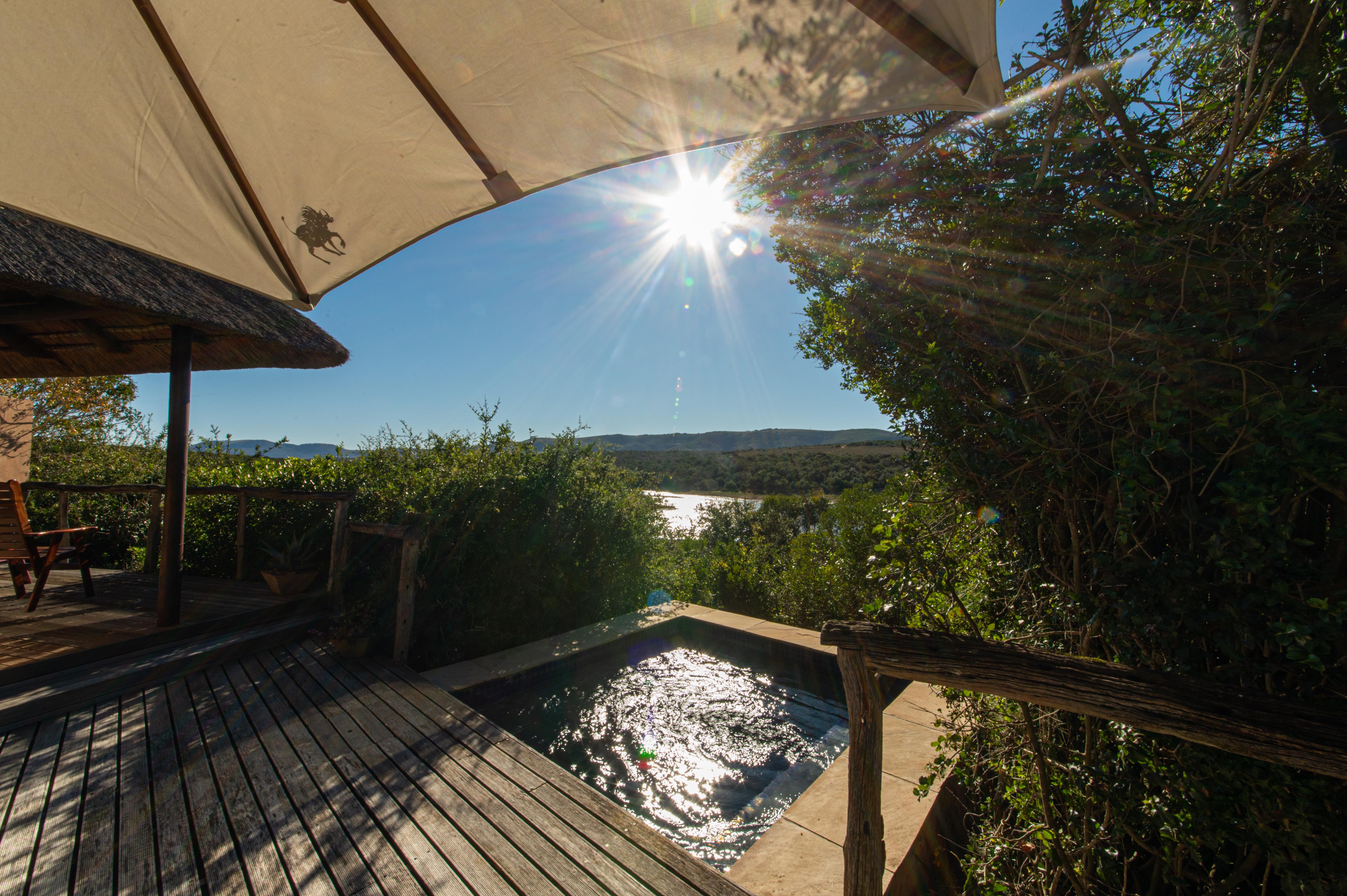 Pumba Private Game Reserve Port Elizabeth Bagian luar foto