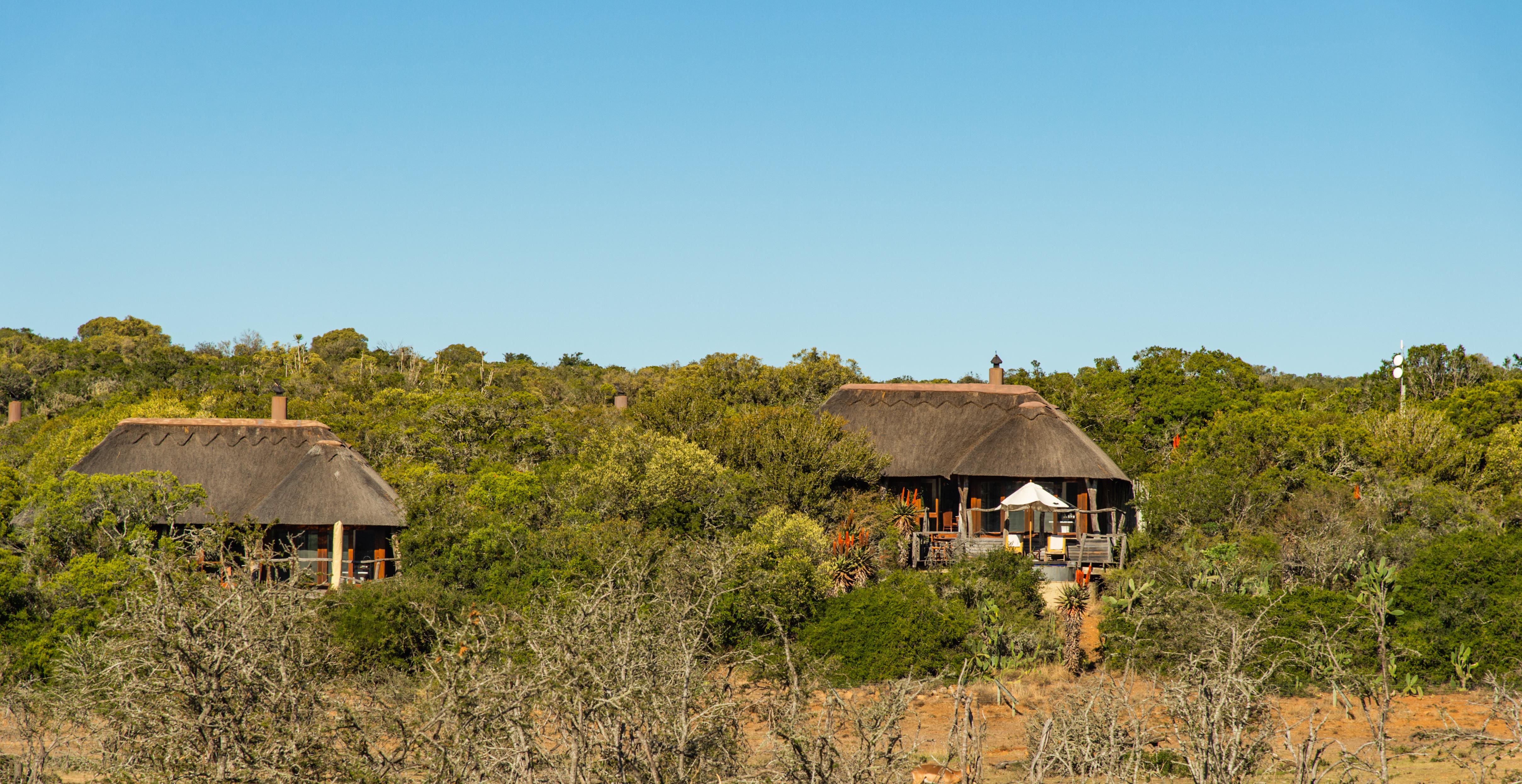 Pumba Private Game Reserve Port Elizabeth Bagian luar foto