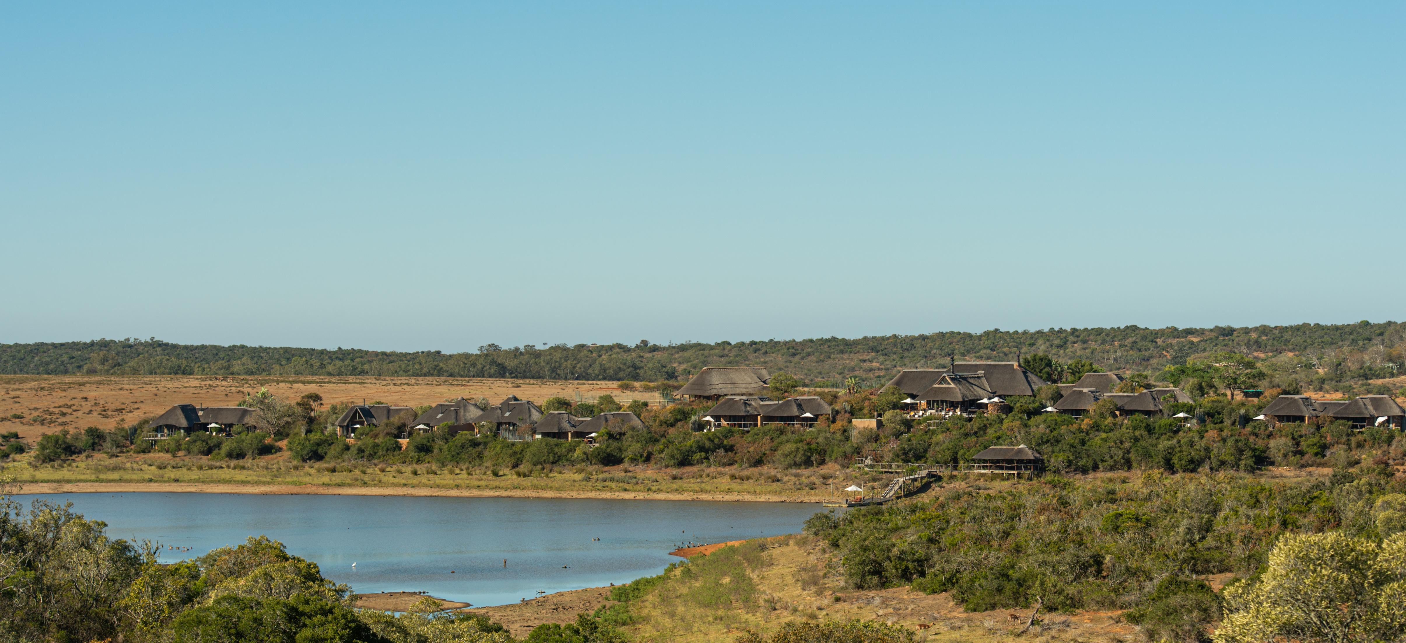 Pumba Private Game Reserve Port Elizabeth Bagian luar foto