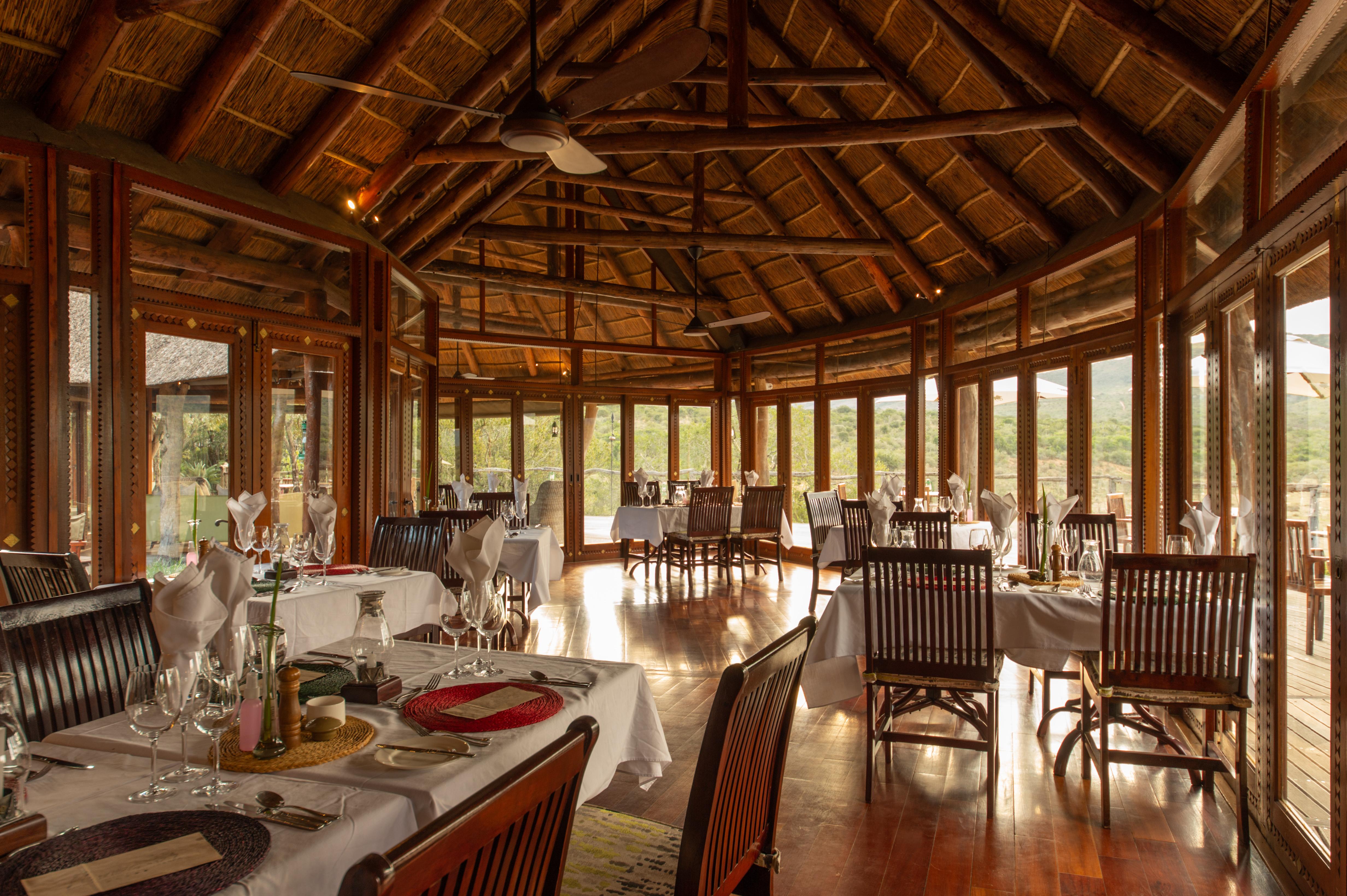 Pumba Private Game Reserve Port Elizabeth Bagian luar foto