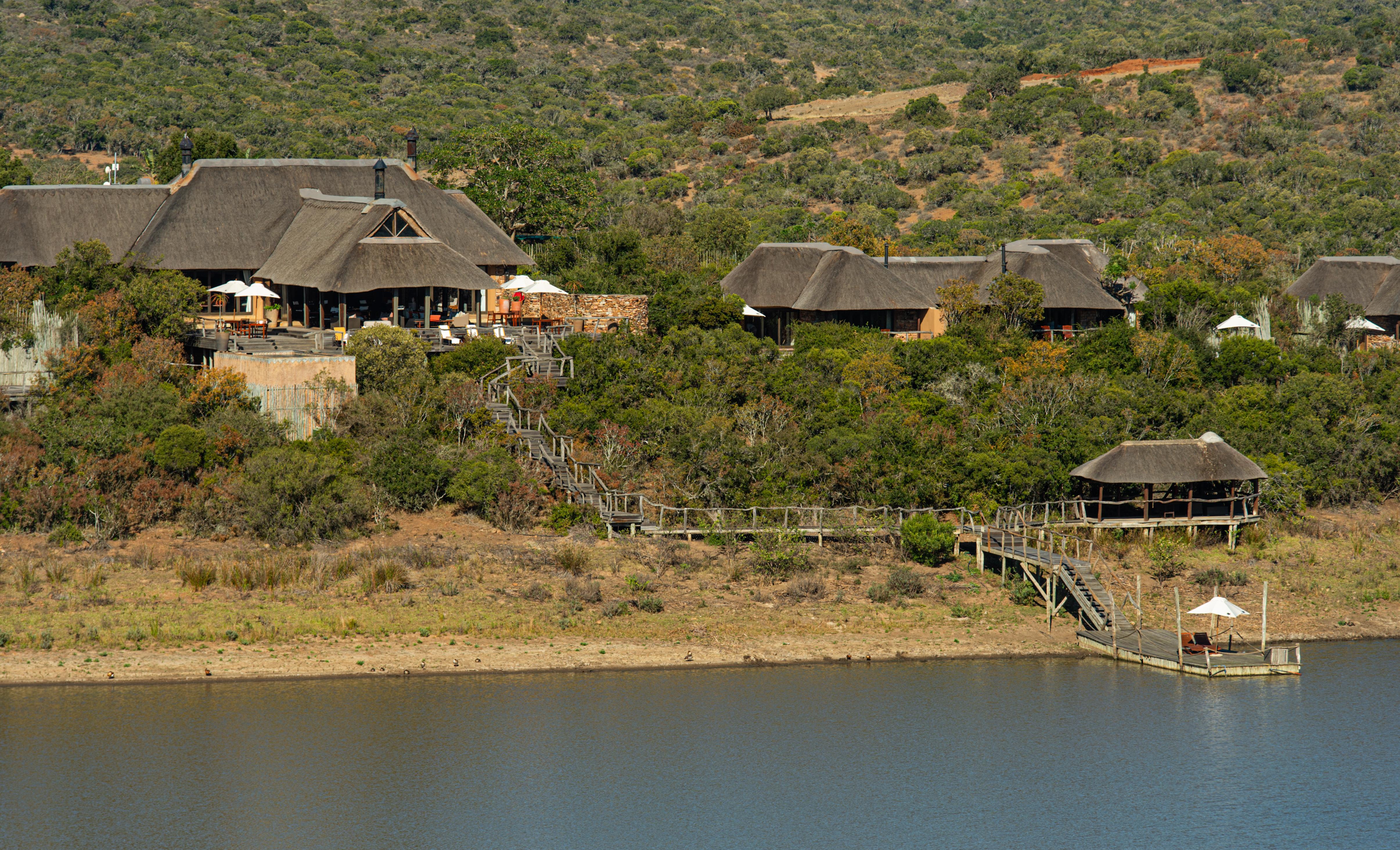 Pumba Private Game Reserve Port Elizabeth Bagian luar foto