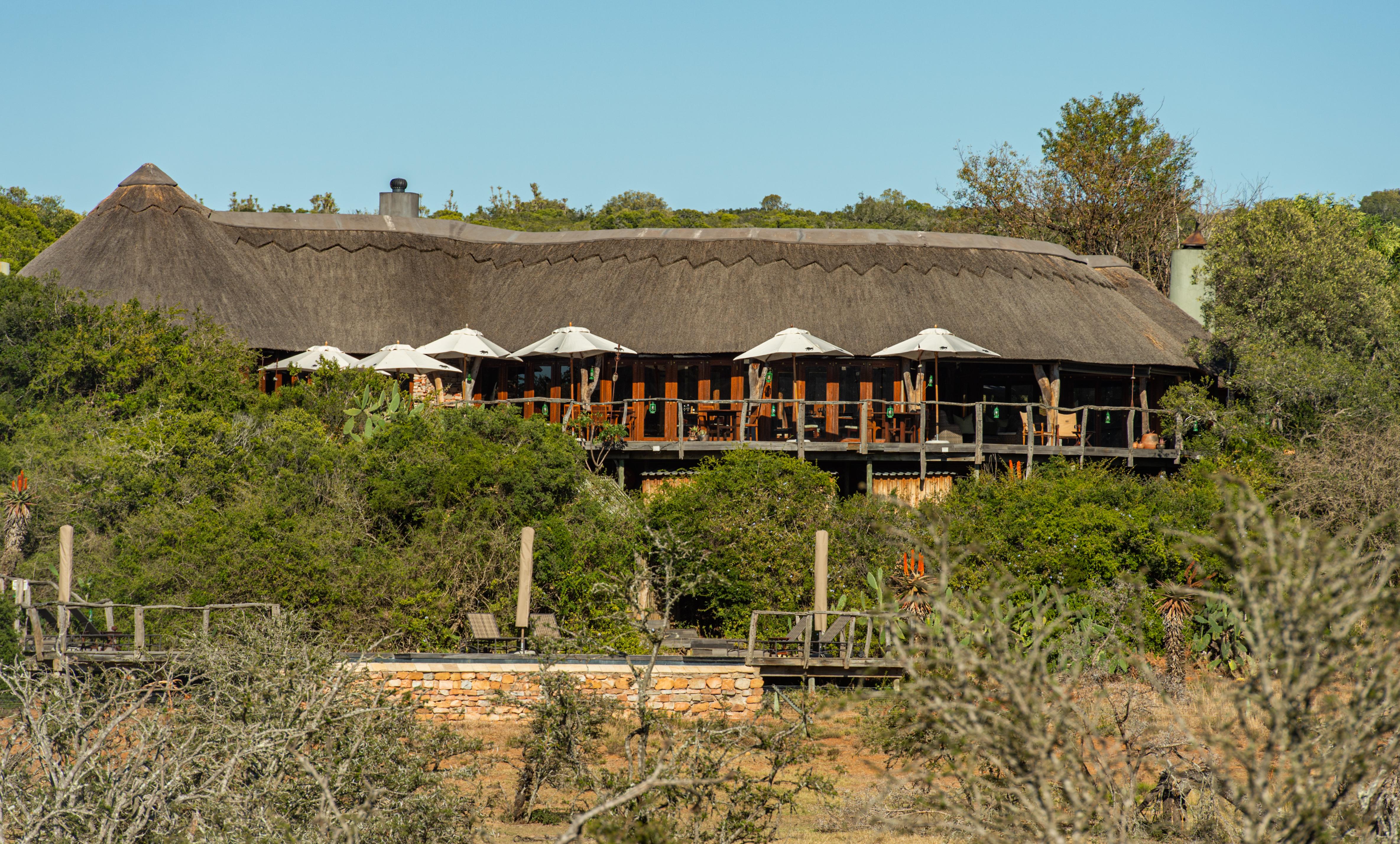 Pumba Private Game Reserve Port Elizabeth Bagian luar foto
