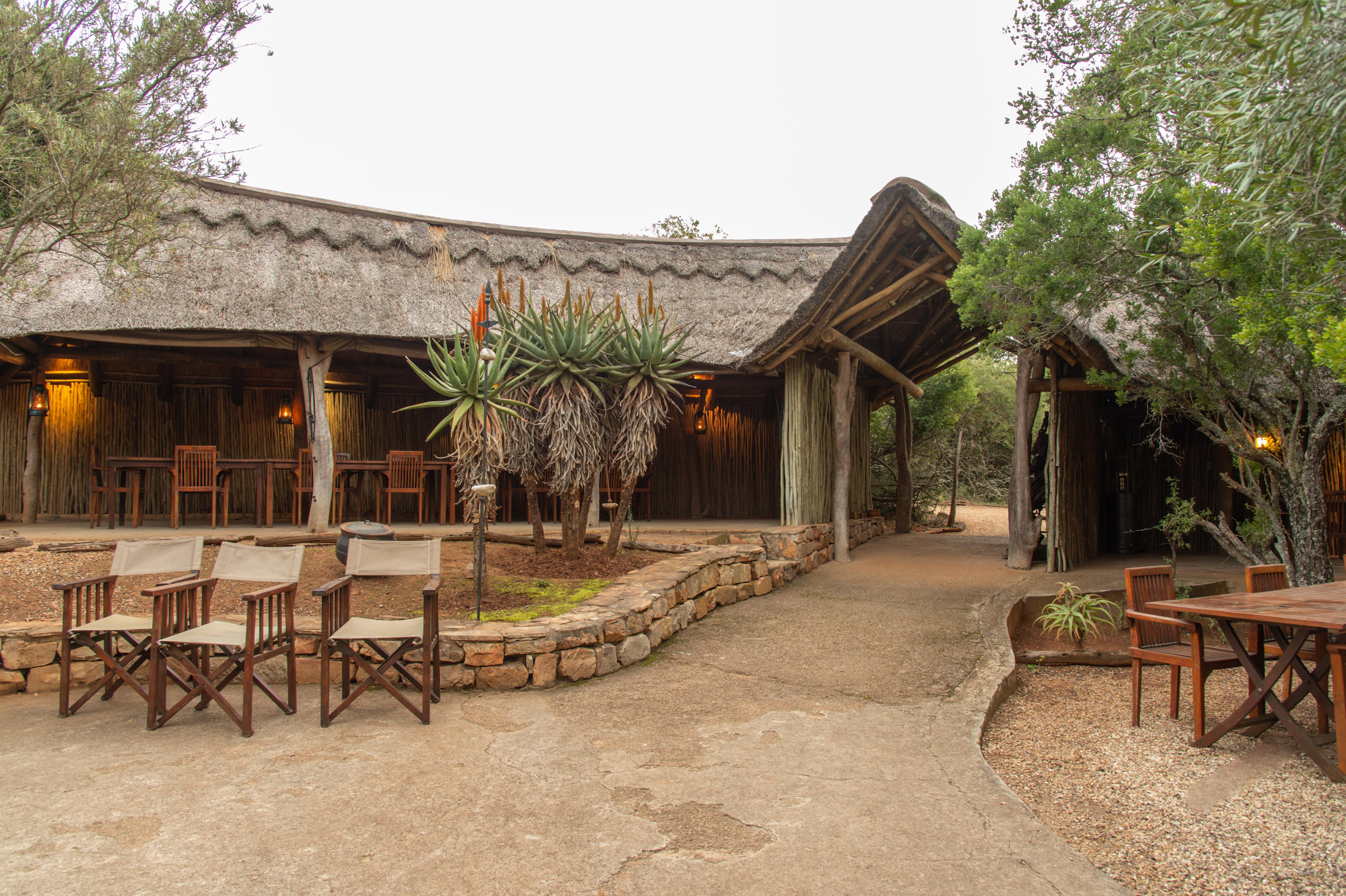 Pumba Private Game Reserve Port Elizabeth Bagian luar foto