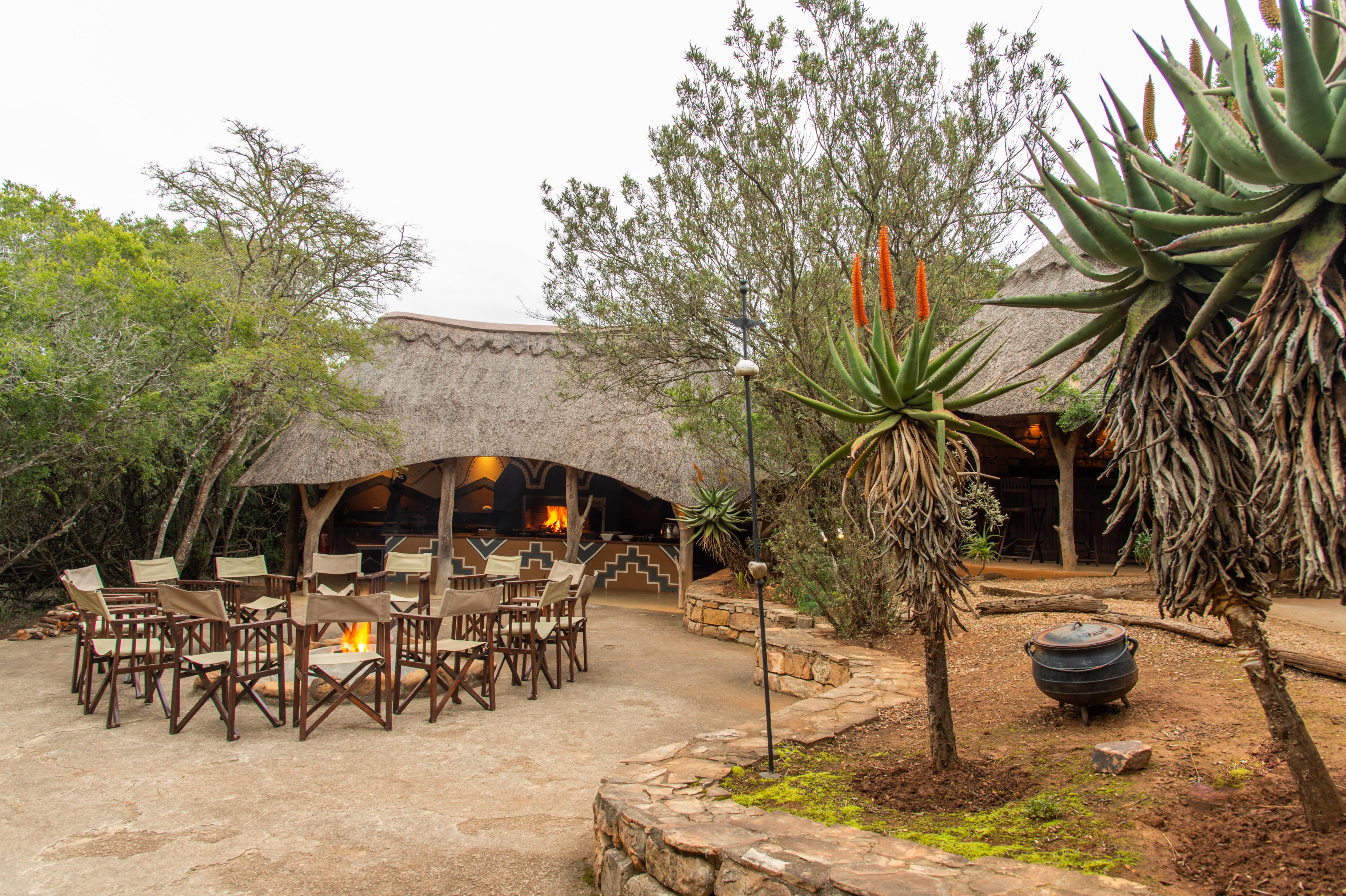 Pumba Private Game Reserve Port Elizabeth Bagian luar foto