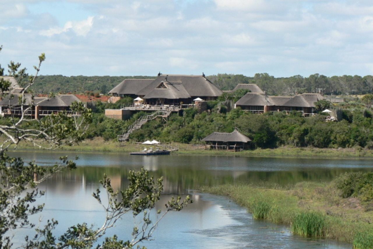 Pumba Private Game Reserve Port Elizabeth Bagian luar foto
